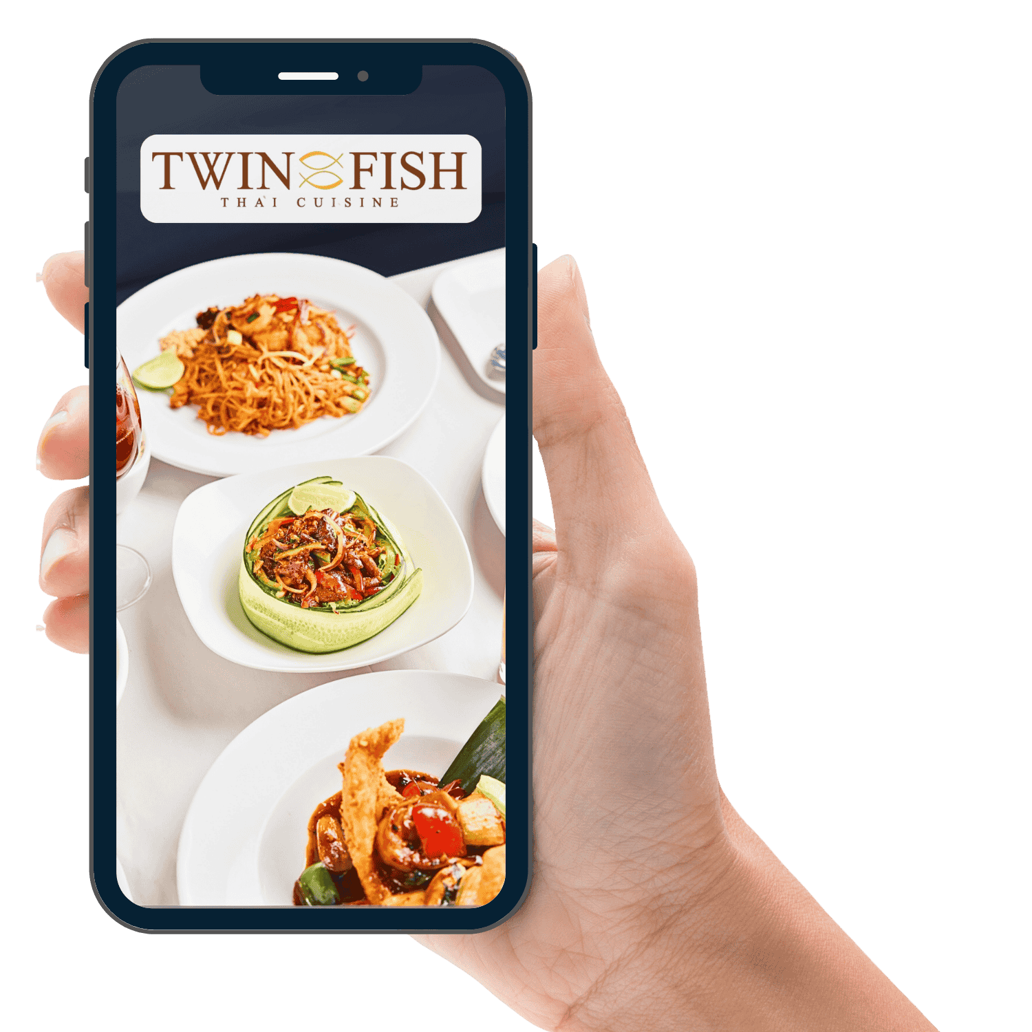 Twin Fish Handheld App Right